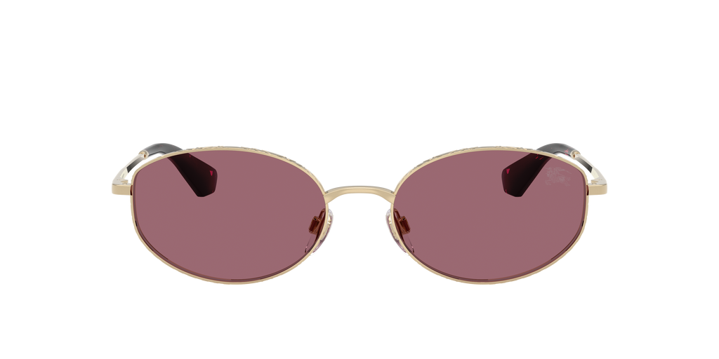 BE3169 - 11091A sunglasses - view 2