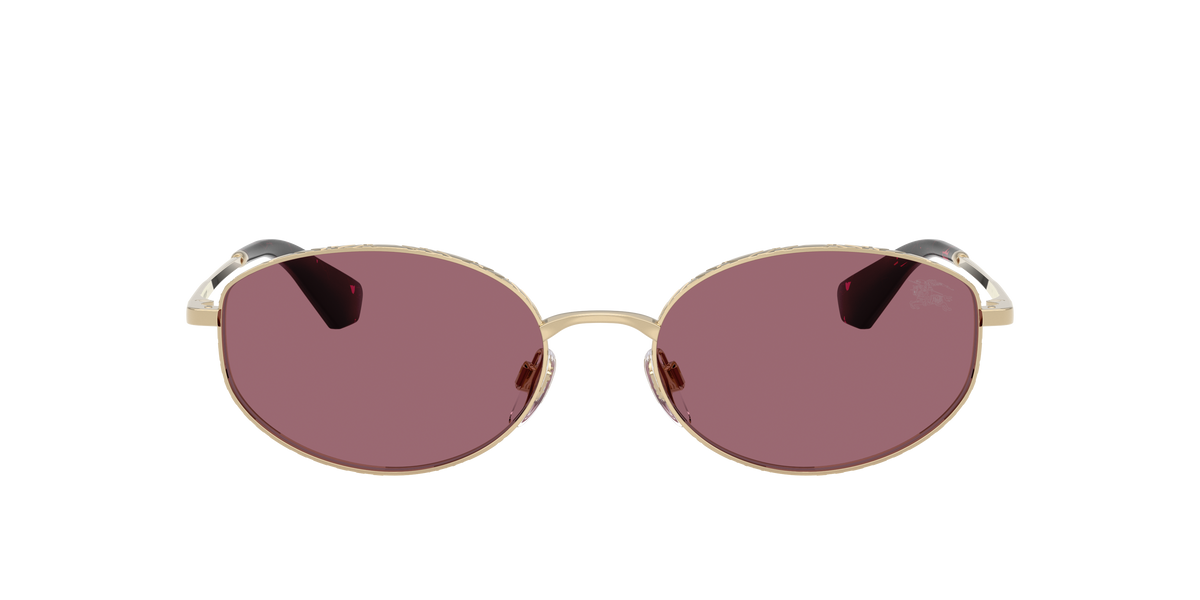 BE3169 - 11091A sunglasses - view 2