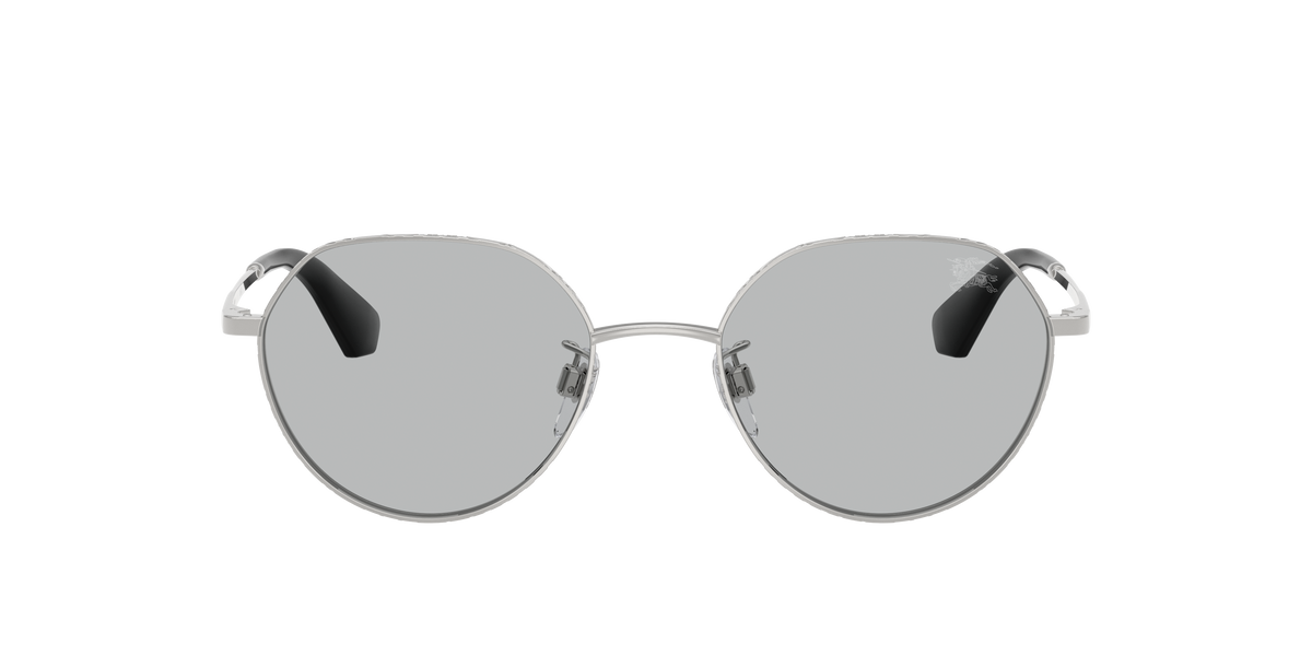 BE3173D - 100587 sunglasses - view 2