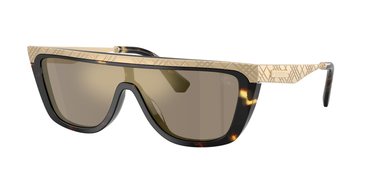 BE3174 - 13595A sunglasses - view 3