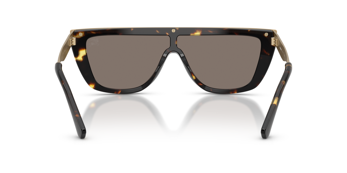 BE3174 - 13595A sunglasses - view 4