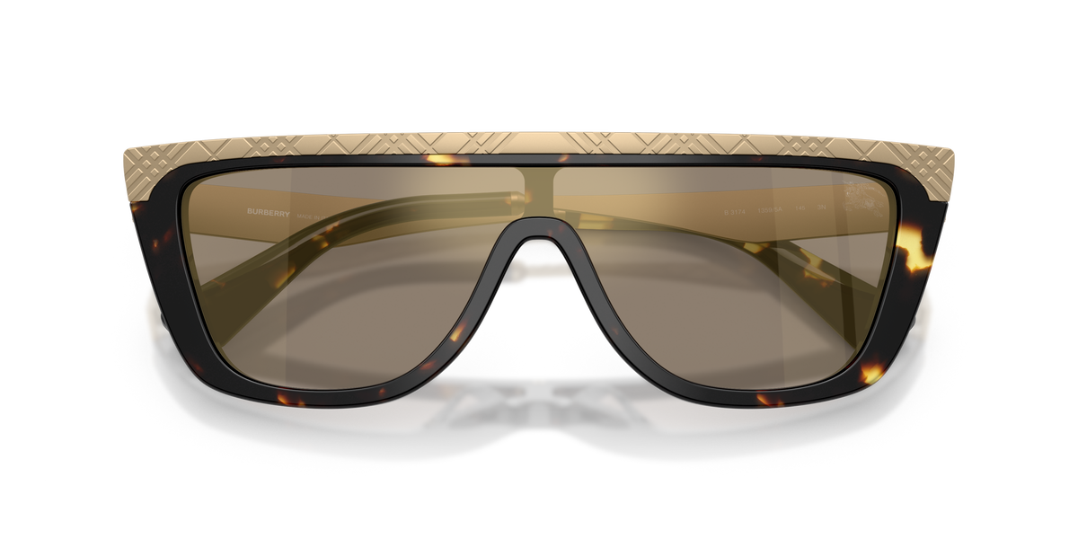BE3174 - 13595A sunglasses - view 5