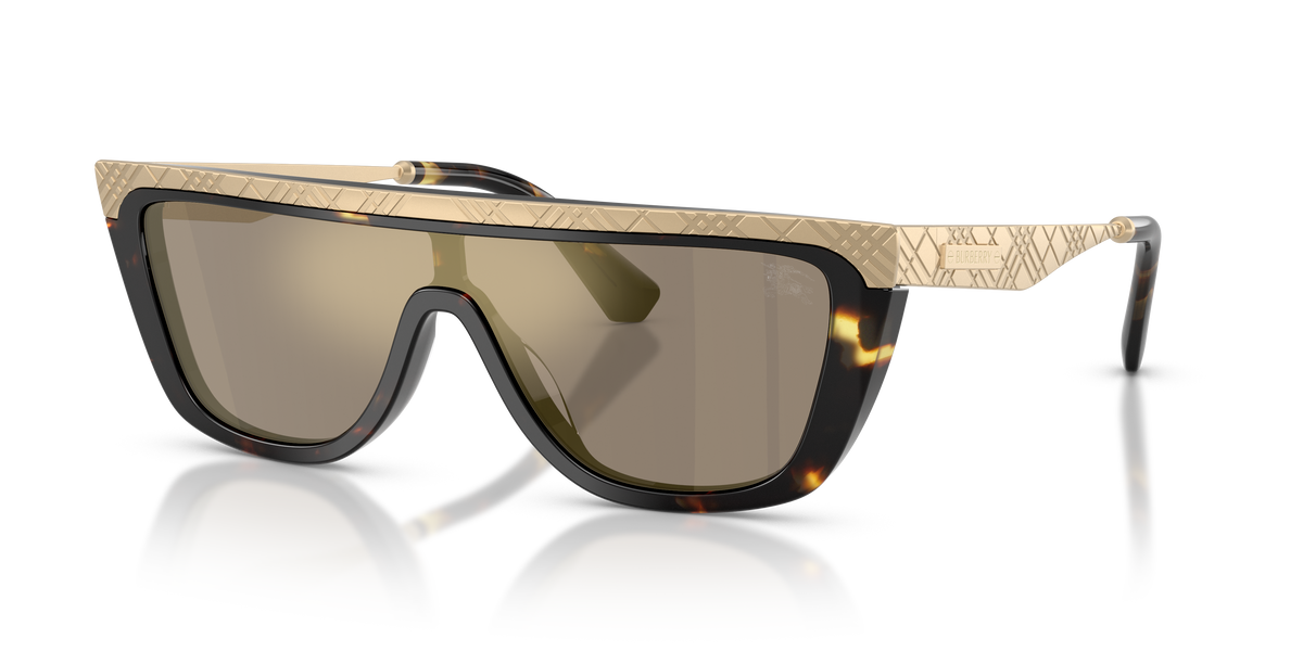 BE3174 - 13595A sunglasses - view 8