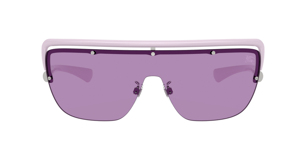 BE3175 - 100569 sunglasses - view 2