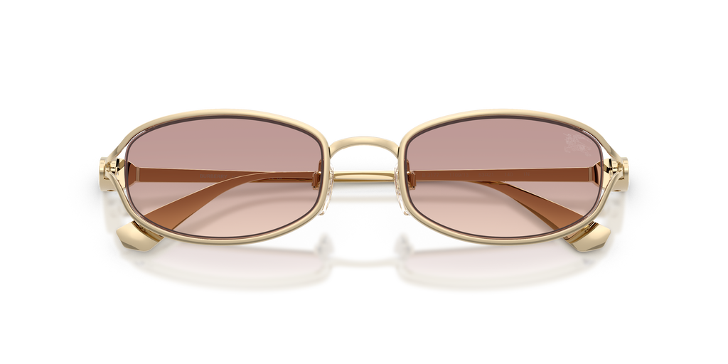 BE3177 - 110913 sunglasses - view 5