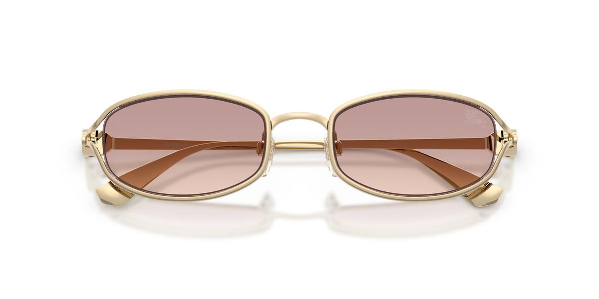 BE3177 - 110913 sunglasses - view 5