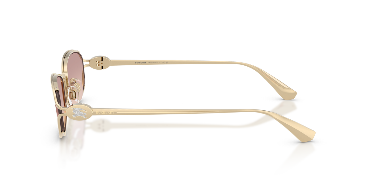 BE3177 - 110913 sunglasses - view 7