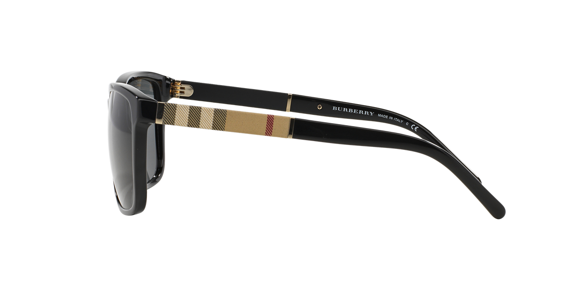 BE4181 - 300187 sunglasses - view 5