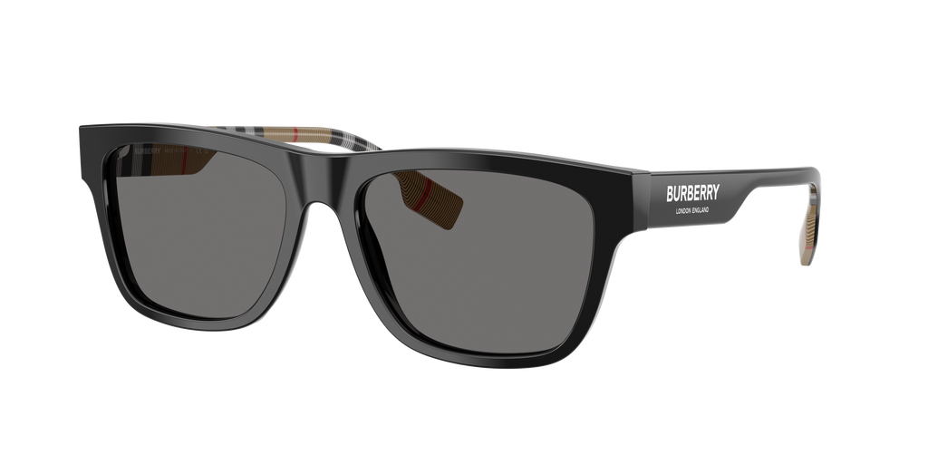 BE4293 - 377381 sunglasses - view 15