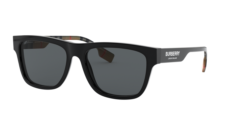 BE4293 - 377381 sunglasses - view 3