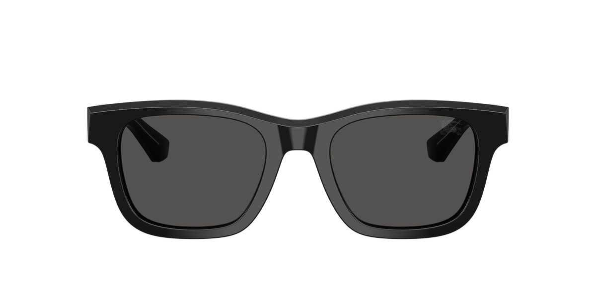 BE4504 - 420687 sunglasses - view 2
