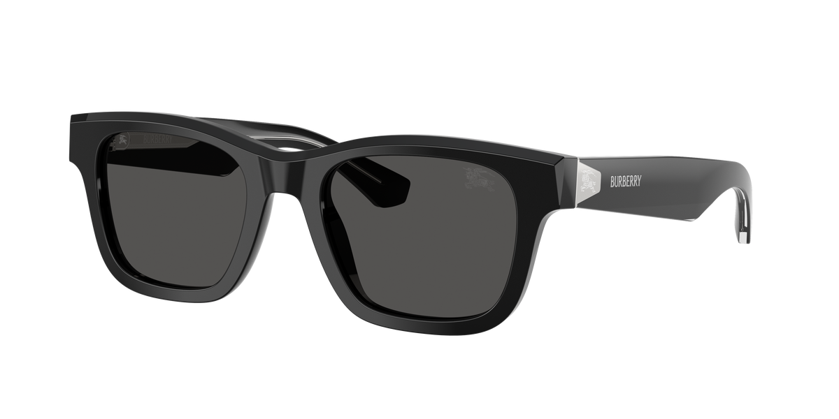 BE4504 - 420687 sunglasses - view 3