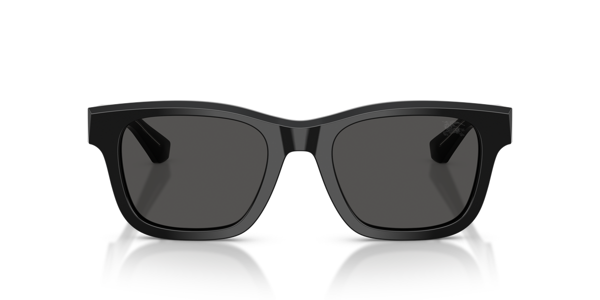 BE4504 - 420687 sunglasses - view 6