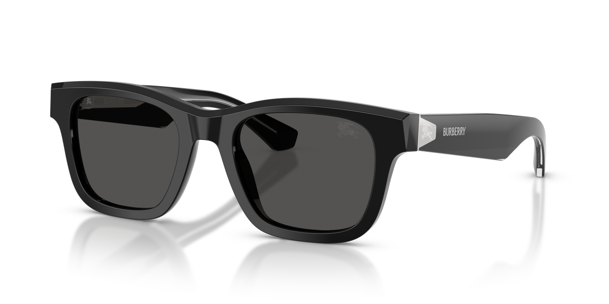 BE4504 - 420687 sunglasses - view 8