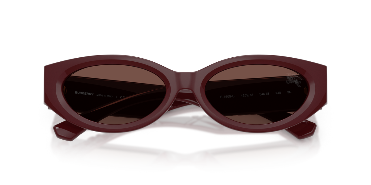 BE4505U - 425973 sunglasses - view 5