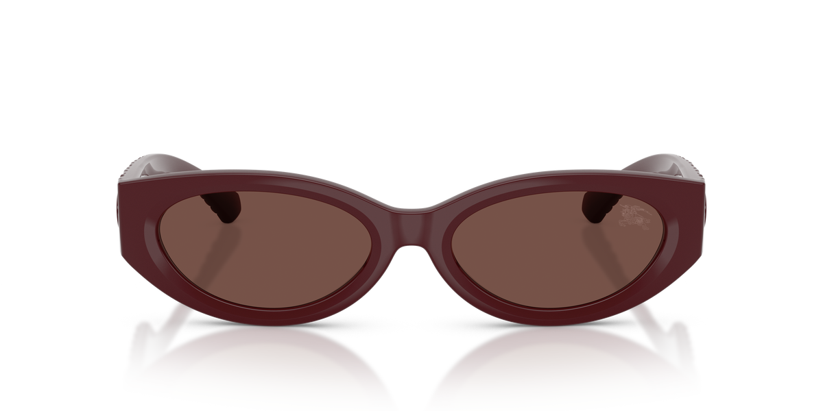 BE4505U - 425973 sunglasses - view 6