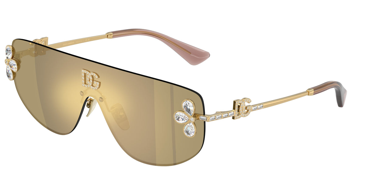 DG2333B - 02/03 sunglasses - view 1