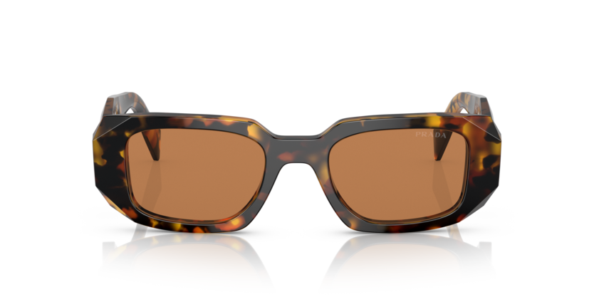 Honey Tortoise Prada Sun