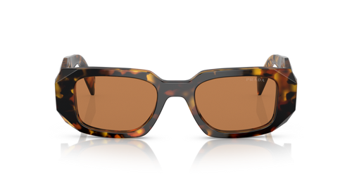 Honey Tortoise Prada Sun