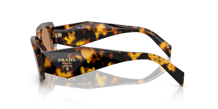 Honey Tortoise Prada Sun