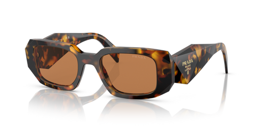 Honey Tortoise Prada Sun