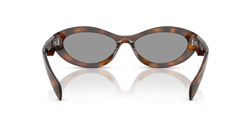Juniper Tortoise Prada Sunglass