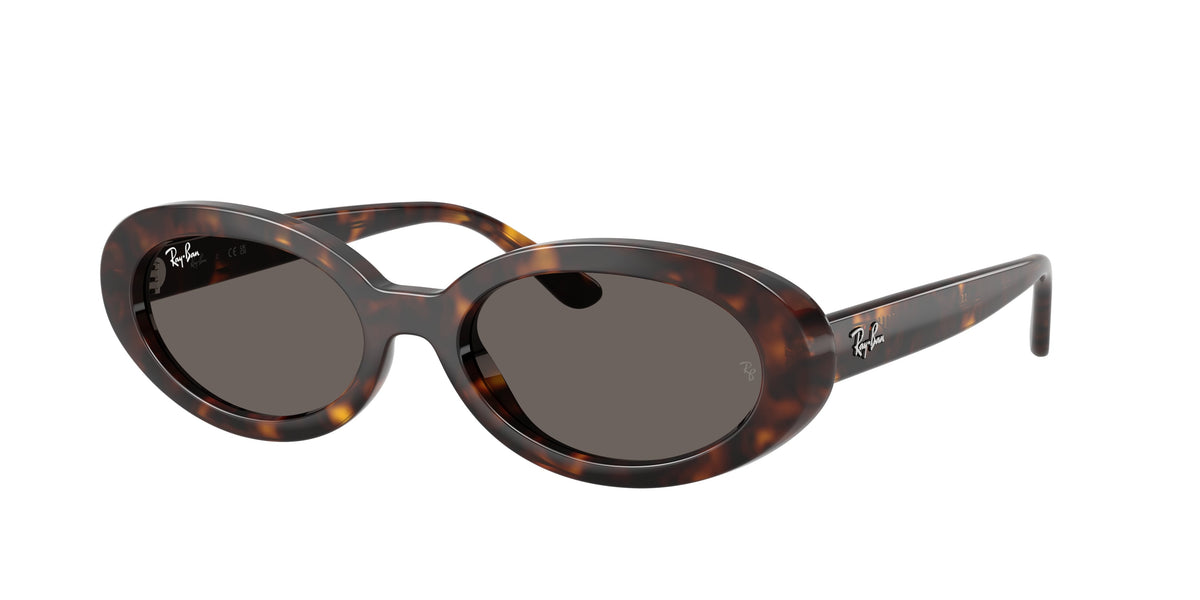 RB2223 - 902/B1 sunglasses - view 1