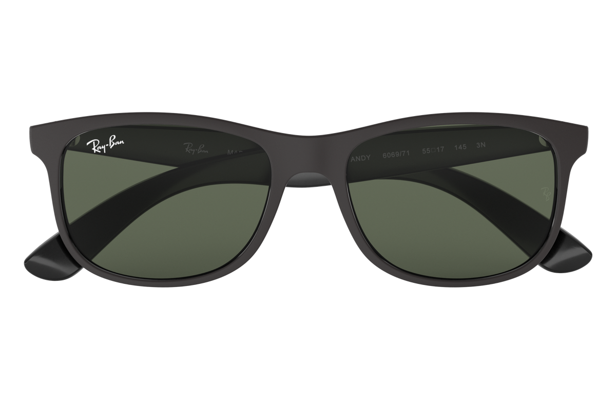 RB4202 - 606971 sunglasses - view 16