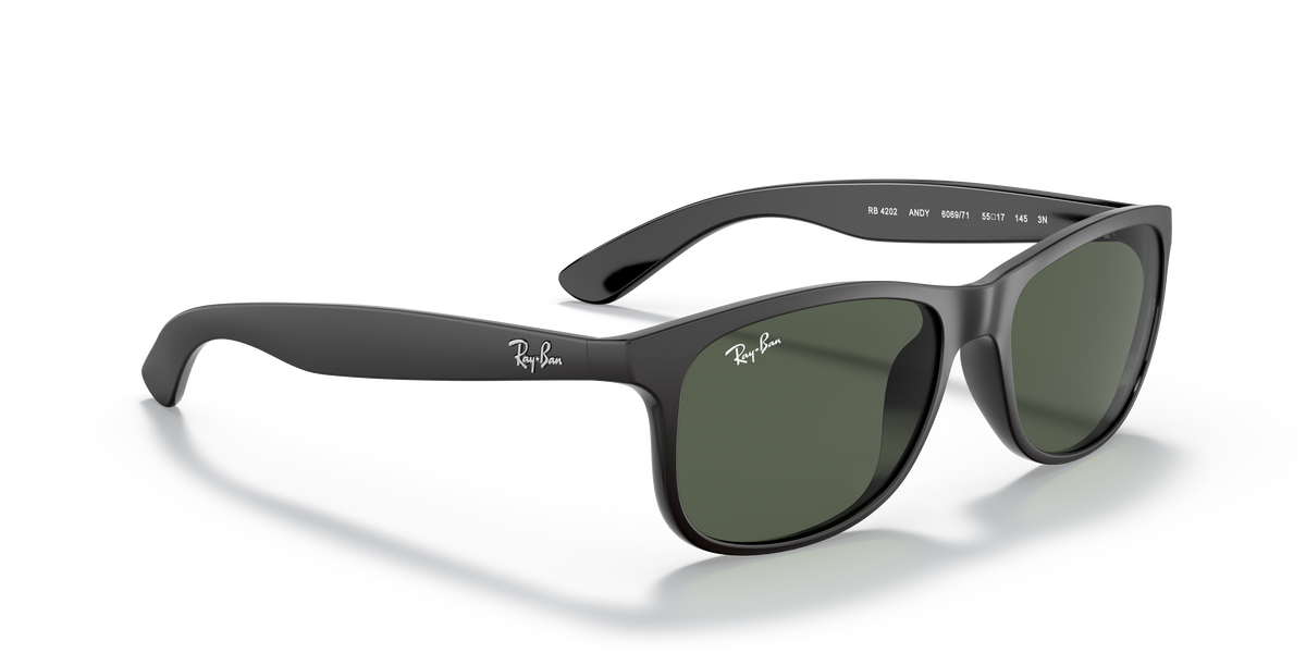 RB4202 - 606971 sunglasses - view 21