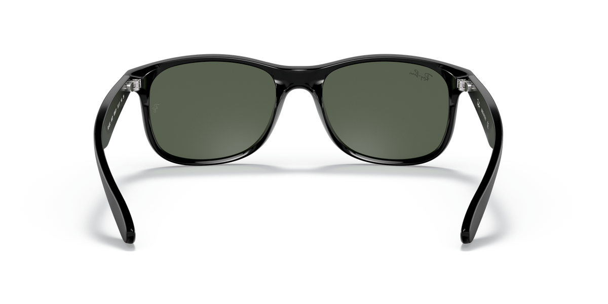 RB4202 - 606971 sunglasses - view 22