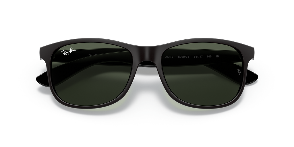 RB4202 - 606971 sunglasses - view 23