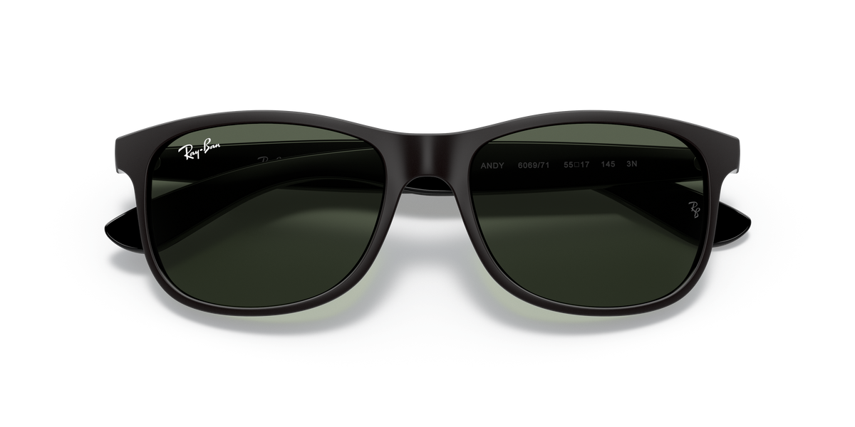 RB4202 - 606971 sunglasses - view 23