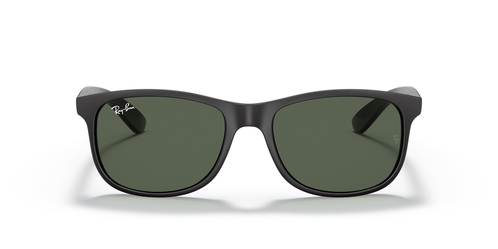 RB4202 - 606971 sunglasses - view 24