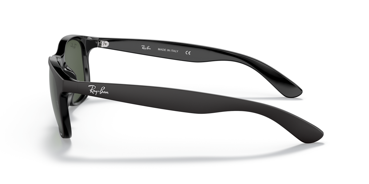 RB4202 - 606971 sunglasses - view 25