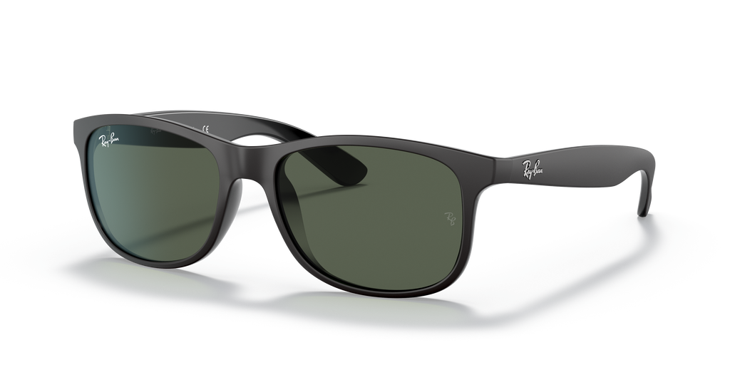 RB4202 - 606971 sunglasses - view 26