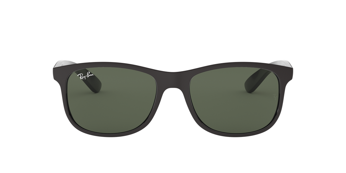 RB4202 - 606971 sunglasses - view 2