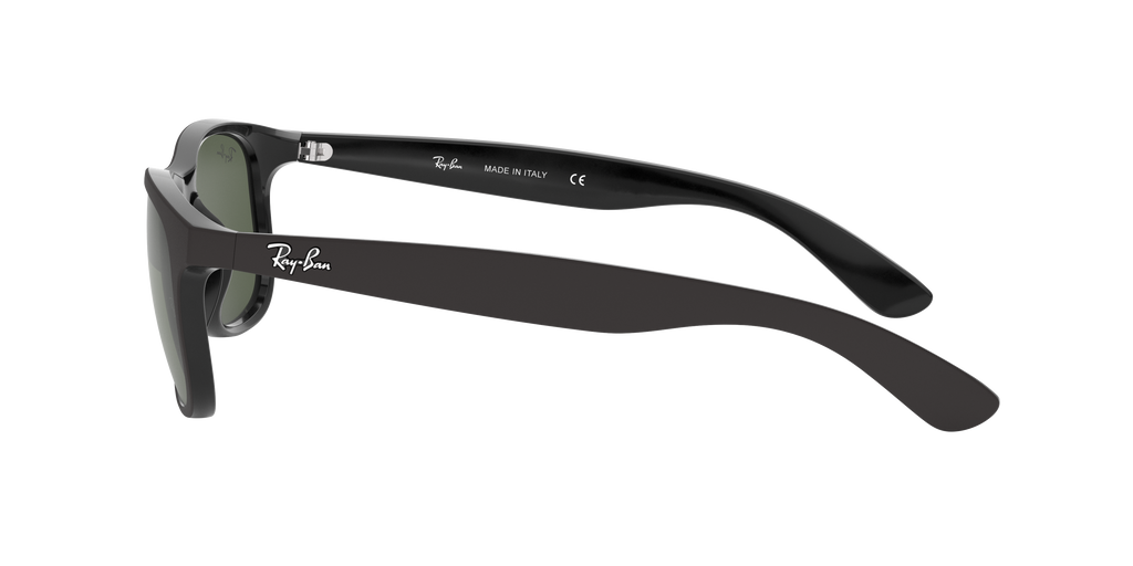 RB4202 - 606971 sunglasses - view 5