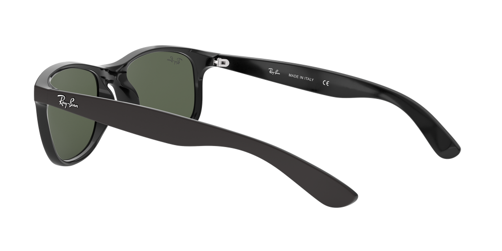RB4202 - 606971 sunglasses - view 6