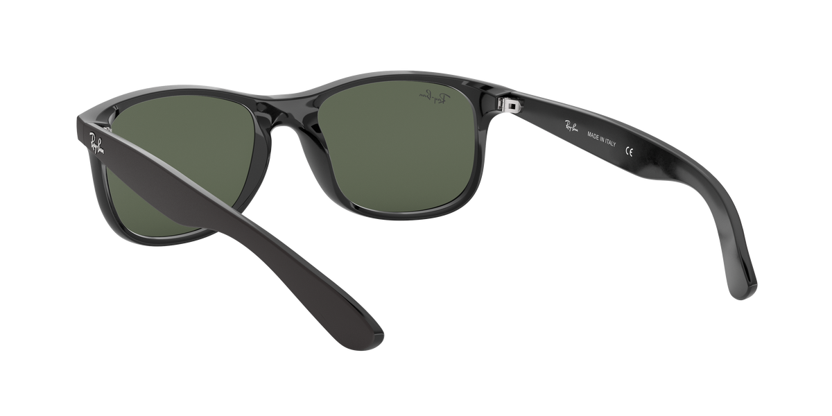 RB4202 - 606971 sunglasses - view 7