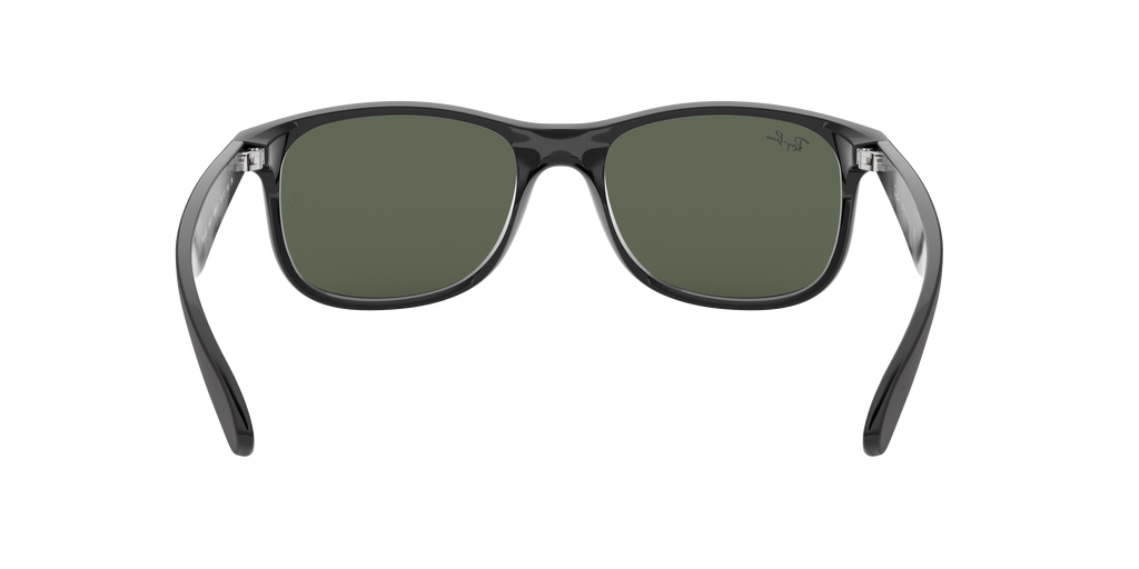 RB4202 - 606971 sunglasses - view 8