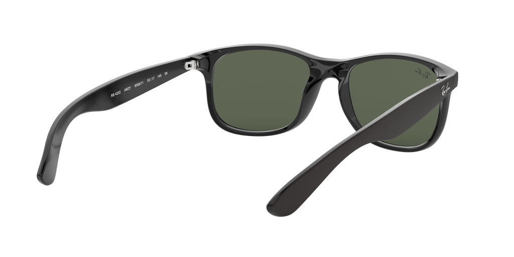 RB4202 - 606971 sunglasses - view 9