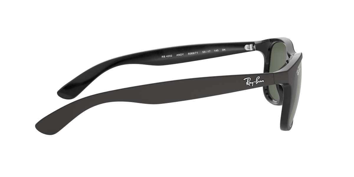 RB4202 - 606971 sunglasses - view 11