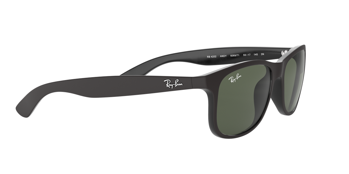 RB4202 - 606971 sunglasses - view 12