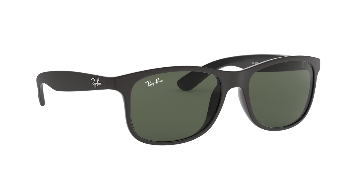 RB4202 - 606971 sunglasses - view 13