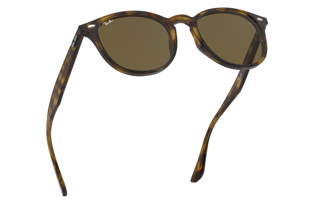 RB4259 - 710/73 sunglasses - view 15