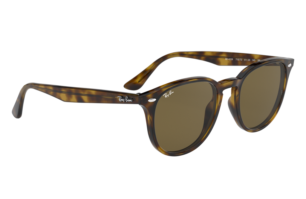 RB4259 - 710/73 sunglasses - view 16