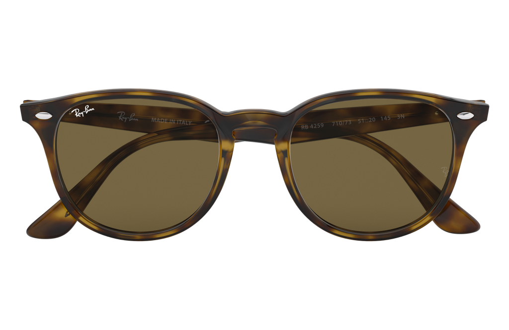RB4259 - 710/73 sunglasses - view 17