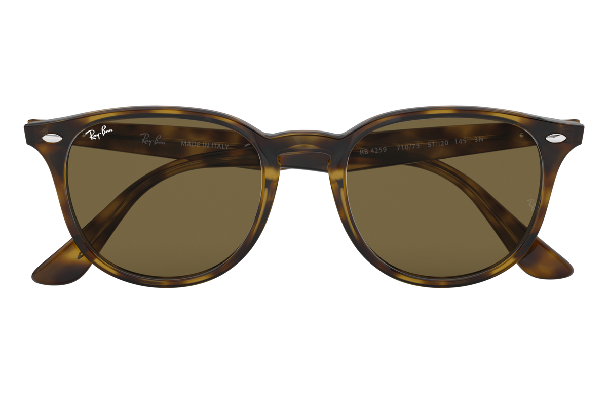 RB4259 - 710/73 sunglasses - view 17