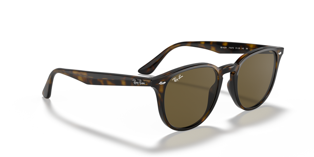 RB4259 - 710/73 sunglasses - view 21