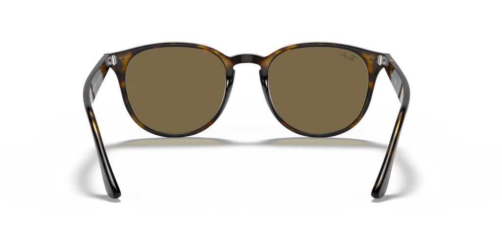 RB4259 - 710/73 sunglasses - view 22